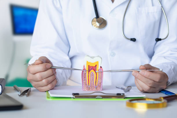Best Emergency TMJ Treatment in Three Points, AZ